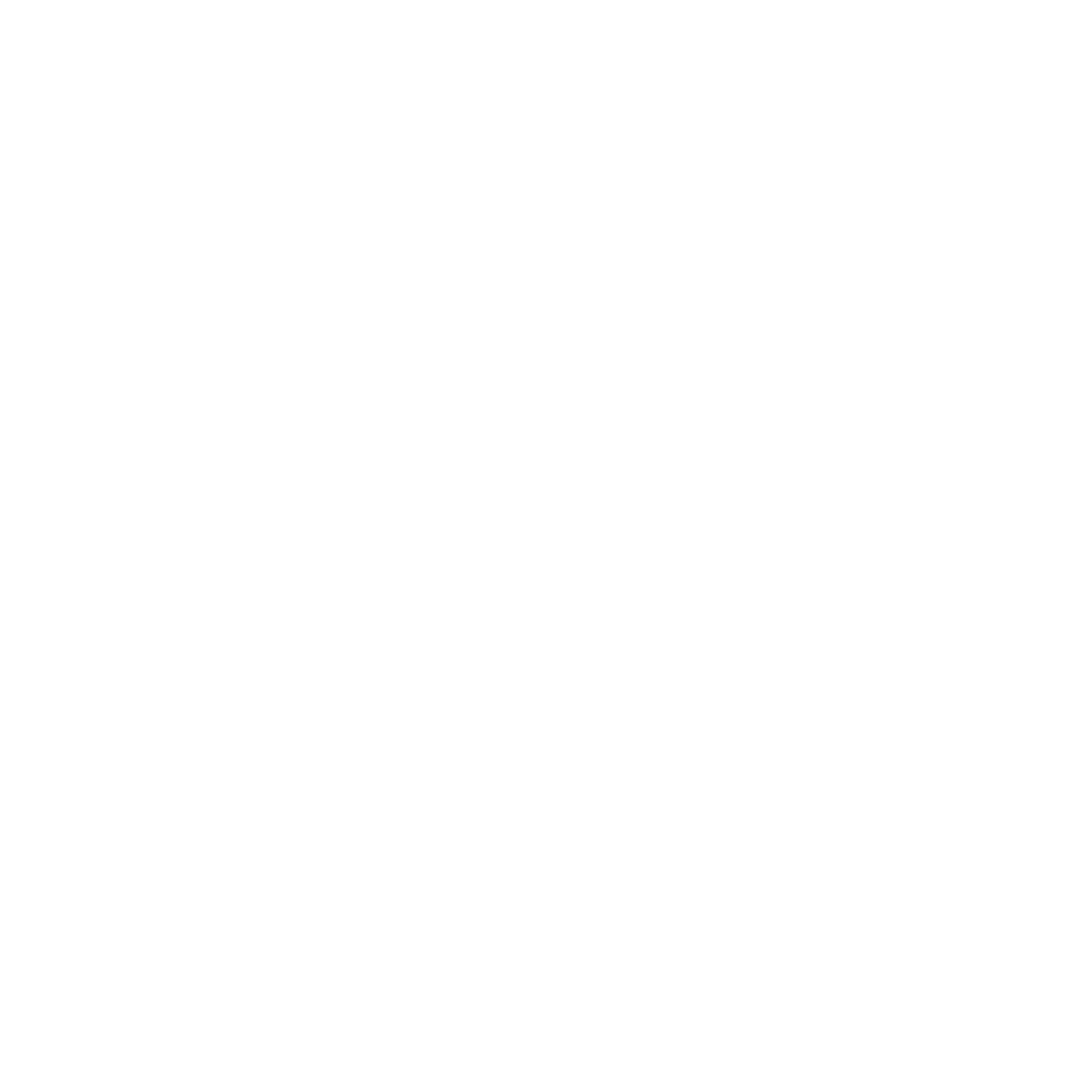 Herz Icon